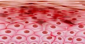 Foto: (inbevel13/DepositPhotos)