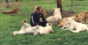 Foto: (Imagem sem texto alternativo disponivel ID [1129053])