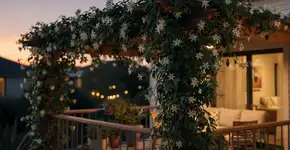 Foto: (Imagem sem texto alternativo disponivel ID [2734754])