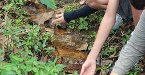 Foto: (Imagem sem texto alternativo disponivel ID [484558])