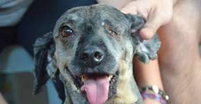 Foto: (Imagem sem texto alternativo disponivel ID [936194])