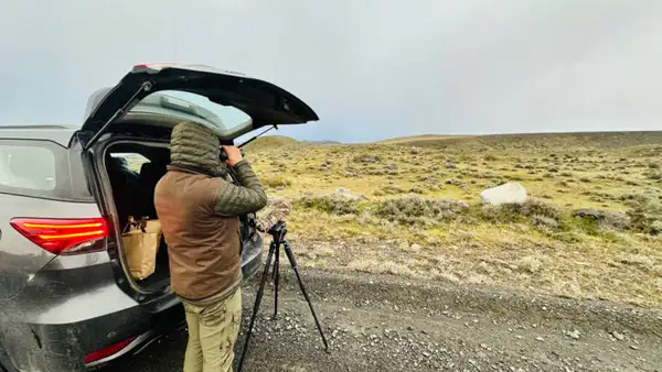 Paisagens e momentos do Puma Tour, passeio especializado para ver puma em Torres del Paine