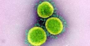 Pesquisadores sugerem ligação entre Ômicron e surto de hepatite aguda