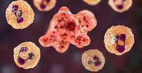 Foto: (Dr_Microbe/istock)