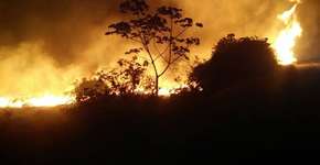 Foto: (Imagem sem texto alternativo disponivel ID [994824])