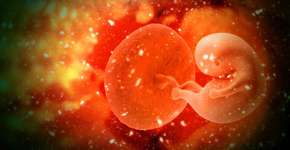 Microplástico é encontrado em placenta pela primeira vez