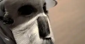 Foto: (Divulgação Instituto Tomie Ohtake / Pablo Lobato)