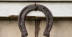 Foto: (Imagem sem texto alternativo disponivel ID [2720798])