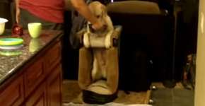 Foto: (Imagem sem texto alternativo disponivel ID [1828772])