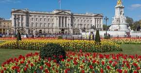 Com salário de R$ 70 mil, família real abre vaga para jardineiro