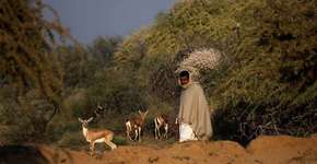 Fotógrafo mostra cotidiano dos ‘ecologistas mais antigos do mundo’