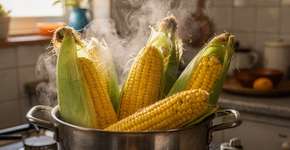 Foto: (Imagem sem texto alternativo disponivel ID [2690115])