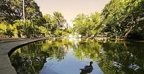 5 lugares perfeitos para você fazer um piquenique no Recife