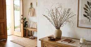 Onde devemos colocar o salgueiro em casa?