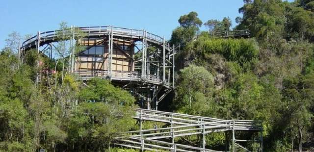 Bosque Zaninelli: pra relaxar e aprender mais sobre meio ambiente!