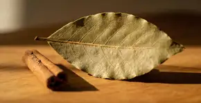 Foto: (Imagem sem texto alternativo disponivel ID [2694751])