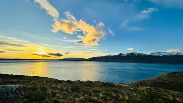 Paisagens e momentos do Puma Tour, passeio especializado para ver puma em Torres del Paine