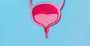 Incontinência urinária: entenda os fatores que tornam a condição comum em mulheres