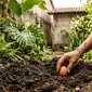 Da redação: Para que serve enterrar um ovo cru no quintal de casa? Qual o significado?