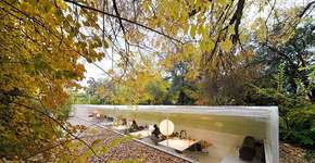 Conheça o escritório que fica no meio de uma floresta na Espanha