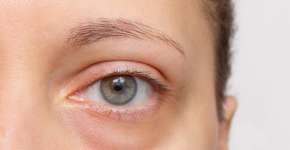 Foto: (Evgeniya Markina/istock)