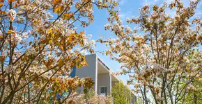 Foto: (Divulgação)