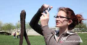 O Encanto das Cidades – Uma escola inovadora em Chicago que você precisa conhecer