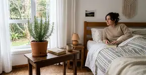 Colocar um vaso de alecrim no quarto: quais são os seus benefícios?