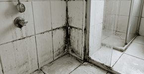 Foto: (Imagem sem texto alternativo disponivel ID [2766300])