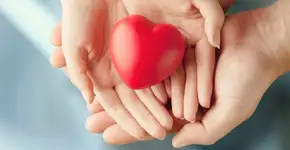 Foto: (Imagem sem texto alternativo disponivel ID [2614767])