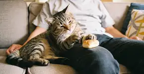 Foto: (Imagem sem texto alternativo disponivel ID [2682291])