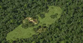 Foto: (Imagem sem texto alternativo disponivel ID [2730870])