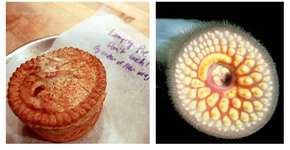 Foto: (Imagem sem texto alternativo disponivel ID [1345516])