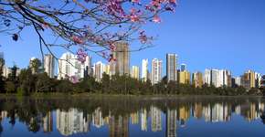 Foto: (Istock/FLAVIOCONCEICAOFOTOS)