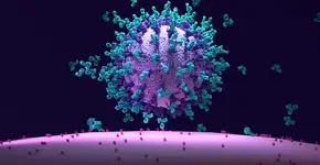 O que sabe sobre a variante XE identificada pela primeira vez no Brasil