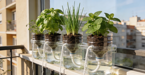 Foto: (Imagem sem texto alternativo disponivel ID [2728385])