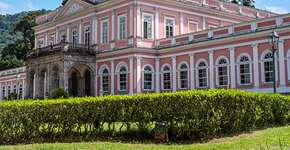 Foto: (Uilson Junqueira/iStock)