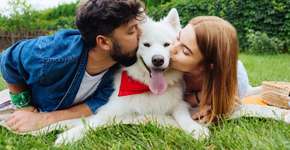 Guarda compartilhada de pets: dinâmica exige atenção com a alimentação do animal
