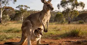 Foto: (Imagem sem texto alternativo disponivel ID [2714464])