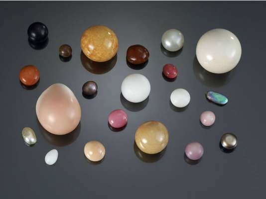 Variedade de pérolas, de diversos moluscos - divulgação Assessoria de Imprensa da FAAP WN&P Comunicação