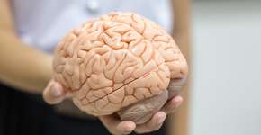 Redução em até 70% do risco de Alzheimer é possível após esta descoberta científica