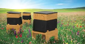 Colmeia com painel solar evita praga na produção de mel