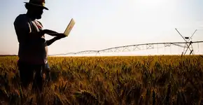 Foto: (Imagem sem texto alternativo disponivel ID [2370619])