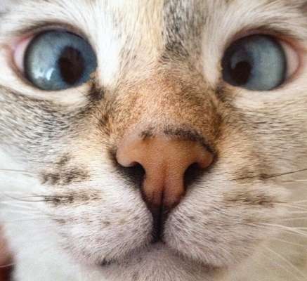 Reprodução / Instagram