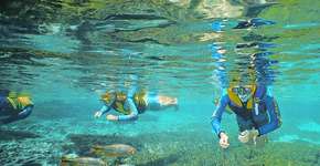 Foto: (Imagem sem texto alternativo disponivel ID [1394298])