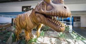 Foto: (Imagem sem texto alternativo disponivel ID [2248514])