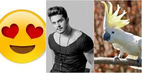 Luan Santana corta o cabelo e internet fica dividida