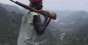 A REVOLUÇÃO DOS COCOS