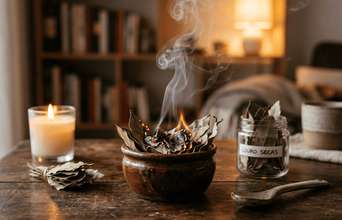 Featured large news: O que acontece se você queimar folhas de louro em casa todos os dias?