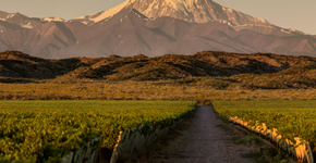 Foto: (Divulgação/Trivento Press)